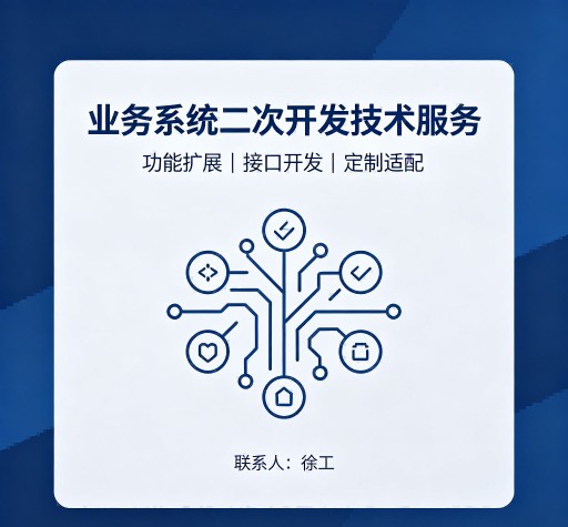 业务系统二次开发技术服务